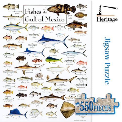 Heritage Puzzle Fishes of The Gulf of Mexico por Diane Peebles 550 piezas | Rompecabezas de 550 piezas para adultos, escena costera de vida marina oceánica 18" x 24" tamaño terminado miniatura 3
