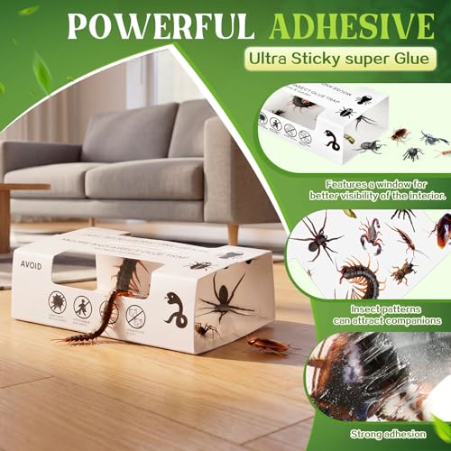 Image of Qualirey 30 Pcs Spider Traps Indoor Roach Bug Ant Cricket Insect Sticky Traps Adhesive Cockroach Rat Mice Glue Boards for House Kitchen Bathroom Basement Garage(Window Style)