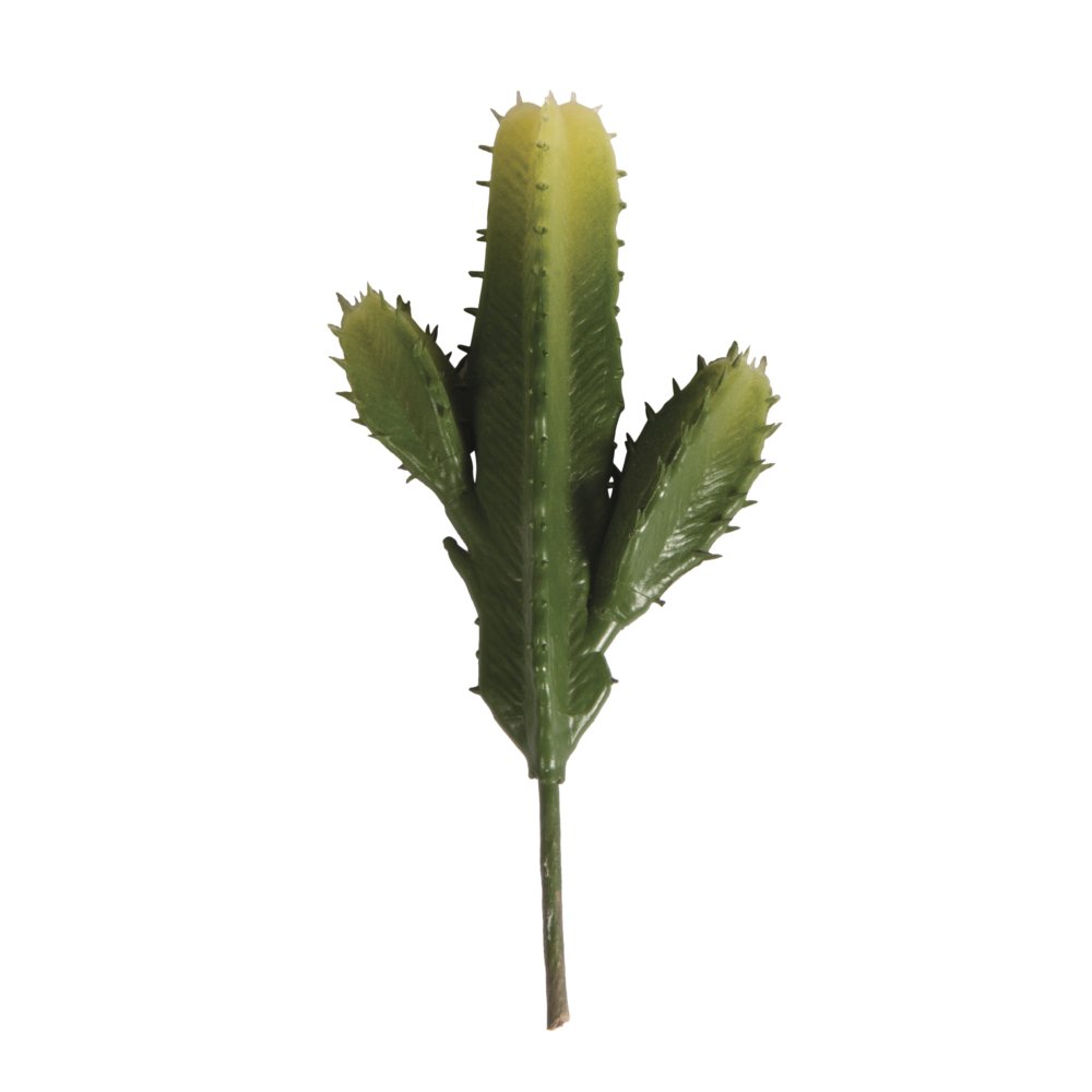 Rayher Hobby 55779000 Column Cactus, Assorted, 7.3 x 15 cm