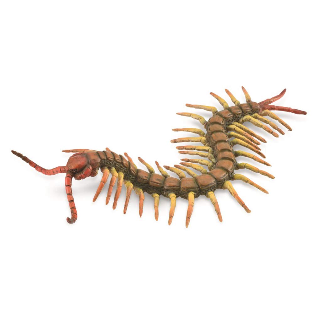 Amazon | COLLECTA 昆虫フィギュア ムカデ 88885 | フィギュア