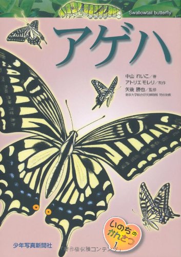 アゲハ (いのちのかんさつ) | 中山 れいこ, アトリエモレリ |本 | 通販