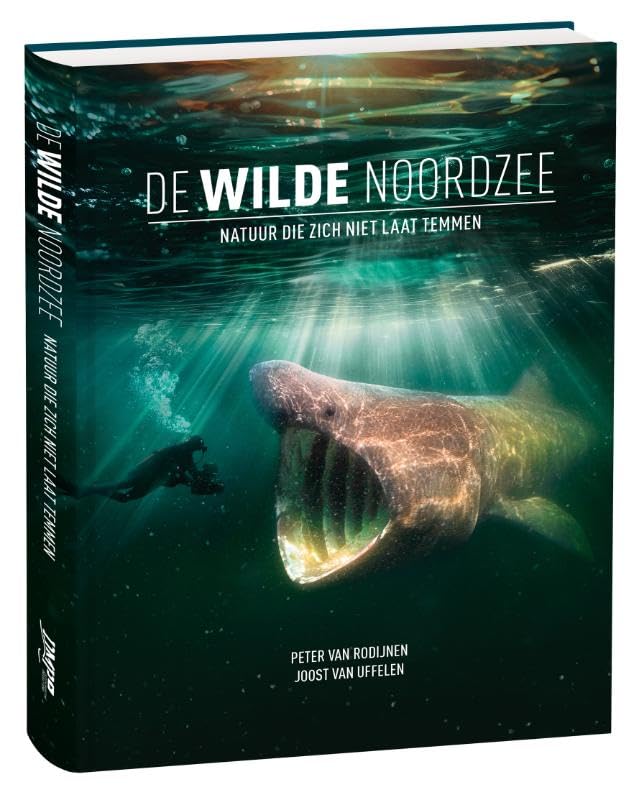 La Mer du Nord Sauvage album photo nature faune marine et paysages côtiers