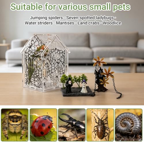 Image of 18pcs Jumping Spider Enclosure Kit with Gothic Decor | Scratch-resistant acrylic, 1mm vent, magnetic lock for spider, mantis, tarantula habitat