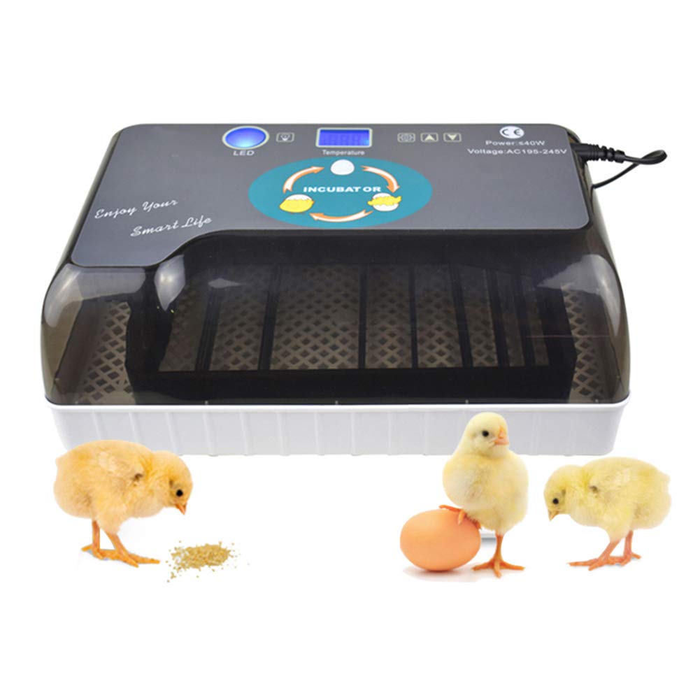 Machine à couver de volaille numérique automatique avec LED WSHA