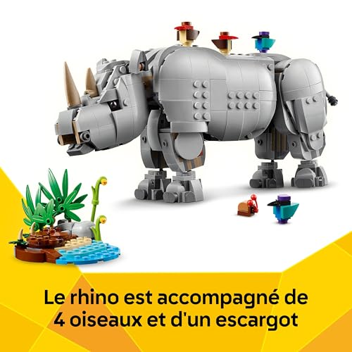 Animaux sauvages: le rhinocéros majestueux et les oiseaux - vue 8