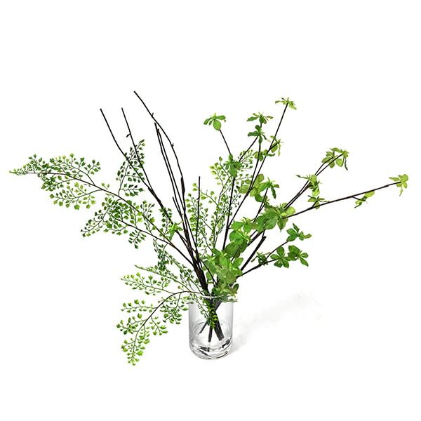 Amazon｜GREENPARK ドウダンツツジ ミックス Water H60cm 観葉植物