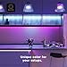 SLEEKLIGHTING Purple Light Bulb A19 LED, 120 Volt - 3-Watt Outdoor Light Bulbs- Medium Base - UL-Listed Purple LED Light Bulb- Lasts More Than 20,000 Hours 4pack