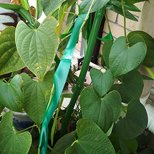 Generic 150 Feet Stretch Tie Tape 1/2 Inch Garden Tie Tape Thick Plant Ribbon Garden Green Vinyl Stake for Indoor Outdoor Patio Plant Use