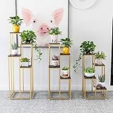 Zoom IMG-2 aflcio supporto per piante a Zoom IMG-2 aflcio supporto per piante a