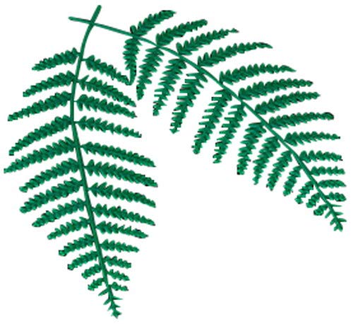 Amazon.co.jp: ウラジロ飾り (100ケ入) 中 [ 約13 x L16cm ] 【 演出