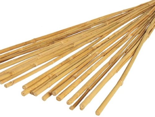Image of 100 Pack 1.2m Bamboo Garden Canes, 4ft, 14-16mm Dia /Thick. Plant Support Poles. 120cm, 4', 1200mm