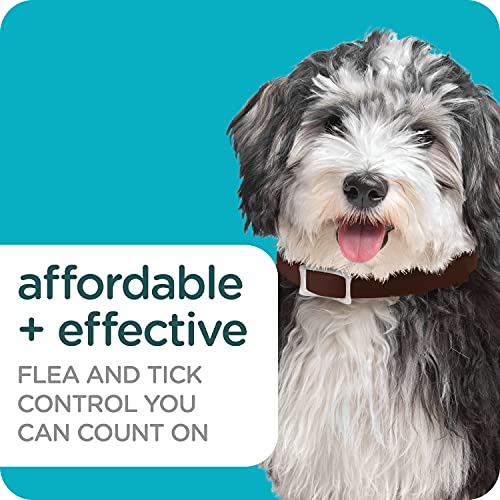 Sergeant's Guardian Pro Flea & Tick Collar For Dogs, Kills Fleas & Ticks, Long Lasting Protection For 6 Months, Fresh Scent, One Size Fits All, 1 Collar #TOP3