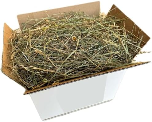Heno natural para conejos, 10 kg | Balón de heno italiano de prado de montaña secado al sol | Alimento para cobayas, chinchillas, conejos enanos, caballos, pollos y roedores
