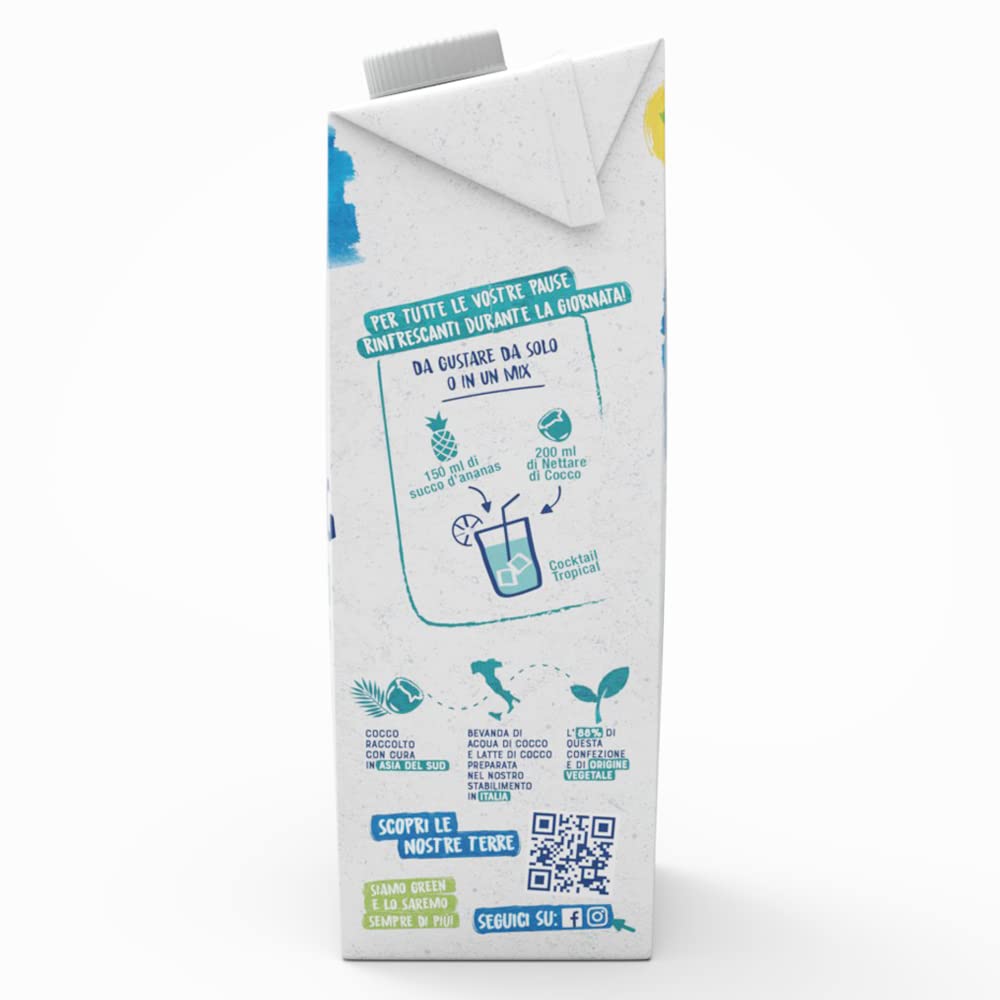 BJORG Bevanda Nettare di Cocco Biologica, Acqua di Cocco e Latte di Cocco, Bevanda Vegetale Senza Zuccheri Aggiunti, Senza Glutine, Vegan, Prodotto in Italia, 1L (Confezione da 9)