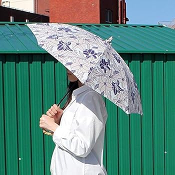 Amazon | 北斎グラフィック 日傘 レディース 79cm［和柄