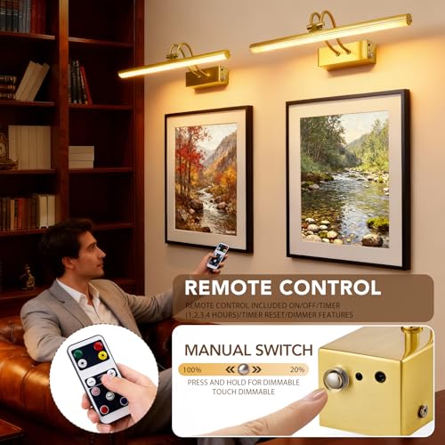 Image of RAIFOOLLY Picture Light, 2 Colors Art Lights for Paintings,16 inch inch Battery Operated Wall Light,Remote Control Painting with Timer and Dimmable for Frame, Portrait, Dartboard (BRASS), RF00300