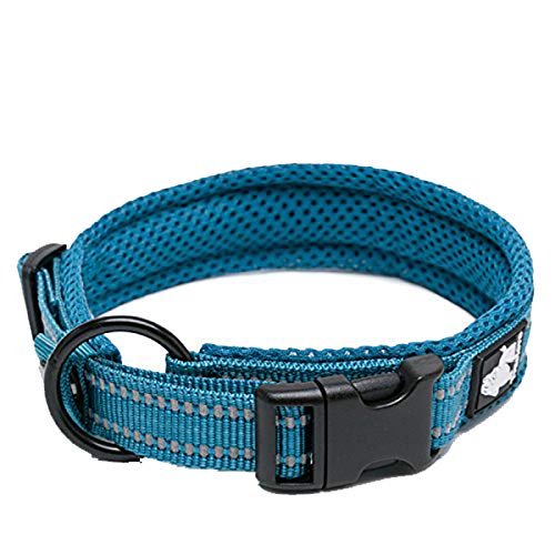 TRUE LOVE Dog Collar Reflective Premium Duraflex Buckle,High Grade Nylon Webbing No Choke Basic Collars Truelove TLC5011(Blue,S)
