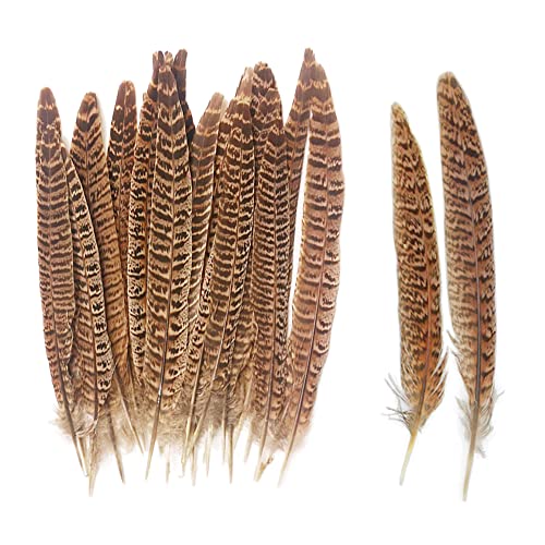 Zasvec Plumes de Faisan 40 Pièces Plumes Naturelles 20-25cm Grandes Plumes Plume Décoration Plume pour Loisirs Créatifs Queues Plume pour Artisanat Loisir Maison Partie Décoration Cover