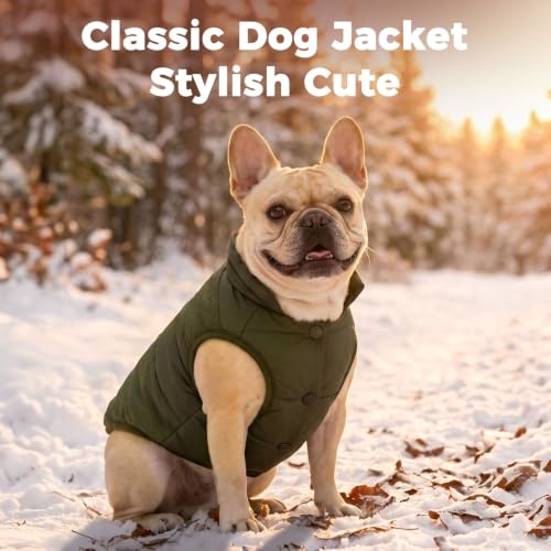 Image of JoyDaog Fleece Lined Dog Jacket for Small Dogs,Winter Dog Coat,Green S | Warm Windproof Puppy Vest for Cold Weather,Soft Cozy Doggie Clothes for Smaller Dog Breeds,Outdoor Daily Walk,Snow Play