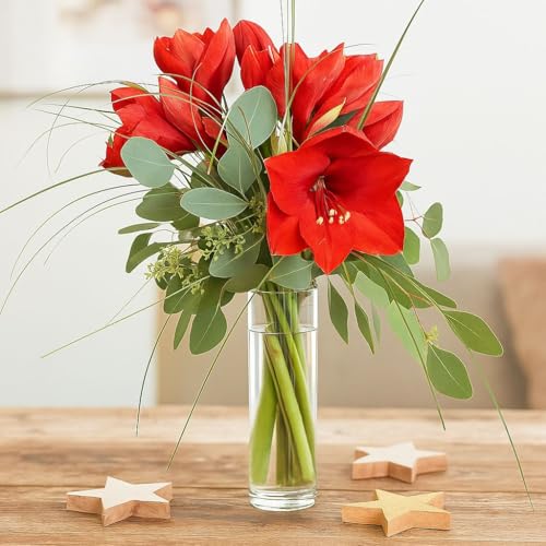 Blumenstrauß - Drei rote Amaryllis mit Eukalyptus und Gräsern