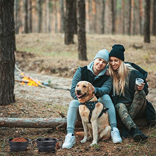 Image of SLSON Plastic Dog Bowl Pet Collapsible Bowls,2 Pack ,Portable Pet Feeding Watering Dish For Walking Parking Traveling With 2 Carabiners (Small,Black+Black) 12.7 Cm,9 Cm,5.5 Cm