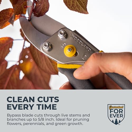 Image of Woodland Tools Co. Bypass Pruning Shears for Gardening - 5 /8 inch Cut Capacity, High Carbon Steel Blade with Non-Stick Coating, Soft Grip, Steel Handle, Hand Pruner for Plants, Flowers, and Shrubs