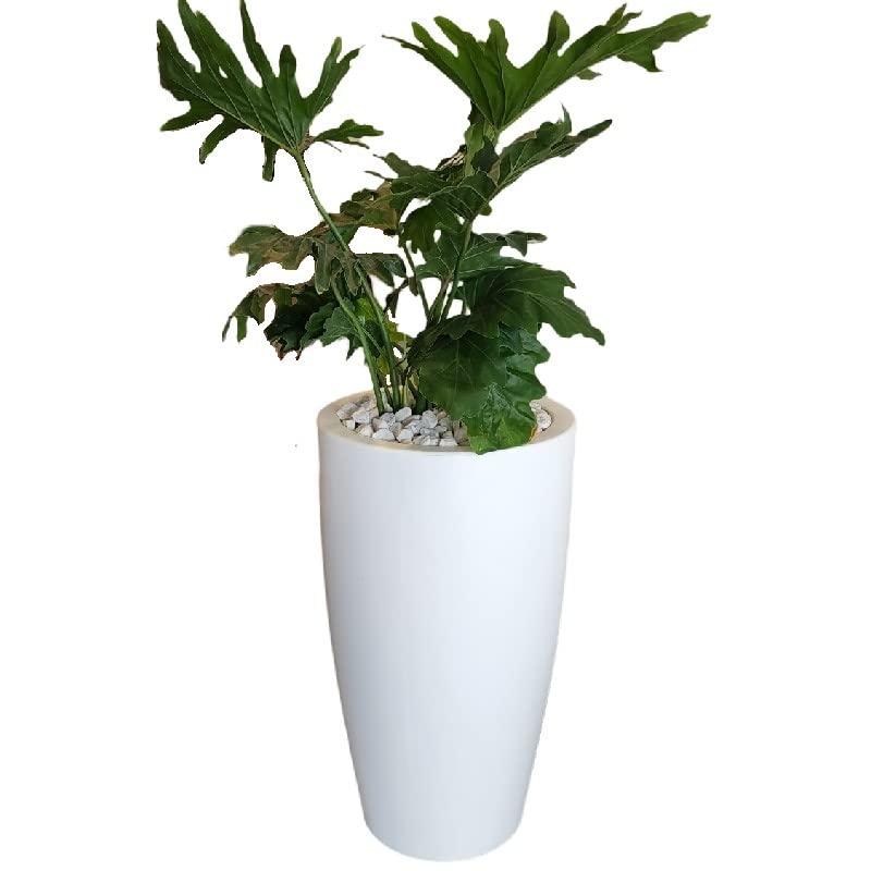 La Mejor review de Macetas decorativas grandes que Puedes comprar On-line. 29 Imagen adicional