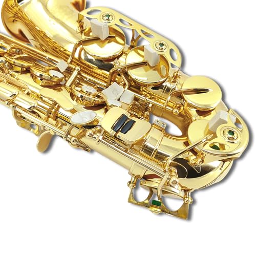 alto saxophone e flat for adults student sax eb alto full kit with carrying sax case mouthpiece straps reeds saxophone beginner kit