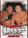 四角いジャングル 格闘技世界一