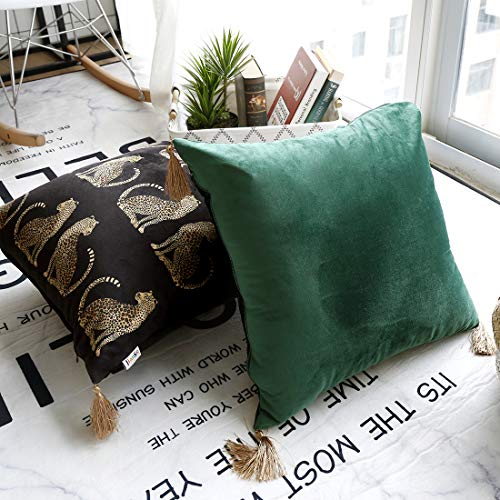 Vctops Leopard Printed Throw Pillow Cover With Tassels Super Soft Velvet Animal Pattern Decorative Square Cushion Case Pillowcase thumb #2