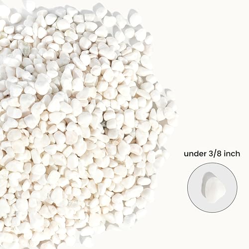 Image of CONSDAN 2 LBS Natural Gravel for Fish Tank, StoneCreek Betta Fish Aquarium Gravel, Vase Filler, River Rocks, Fish Tank Decorations, Perfect for Aquarium Decor, Fish Tank, & Indoor Plant, White