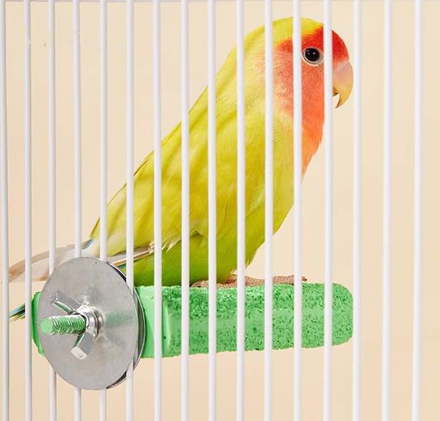 PengLAI Eco-Friendly Bird Perch & Toy, 13in Chewable Perch for Cage Safe Grinding Stone for Beak & Nails - Image 4