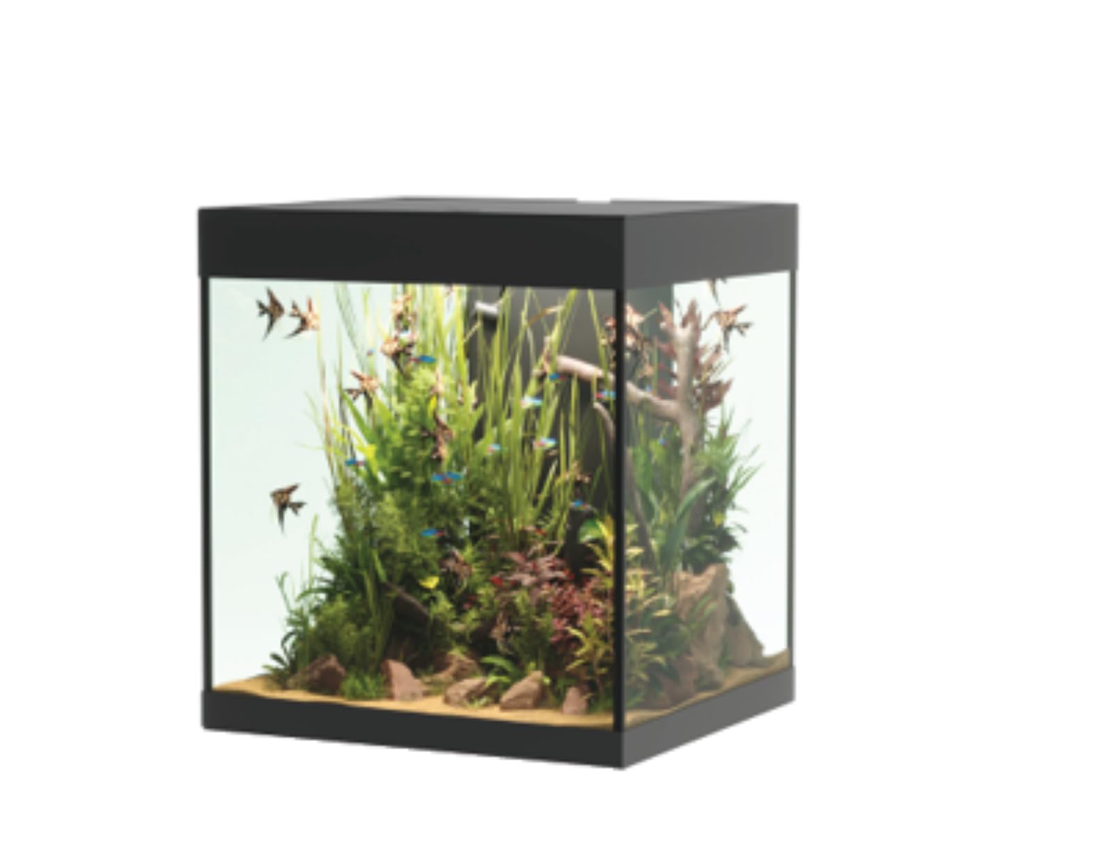 ASKOLL OPERA Acquario 80 Black