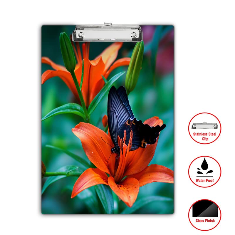 Image of Printed Wooden Exampad, Clipboard, Writing Pad for Boys, Girls, Kids School Students, Form Holder, Exam Board etc 24