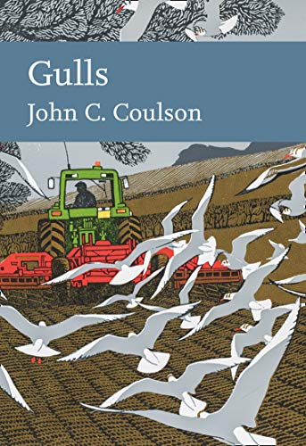 Gulls: Discover the Secret Lives of Seabirds in This Comprehensive