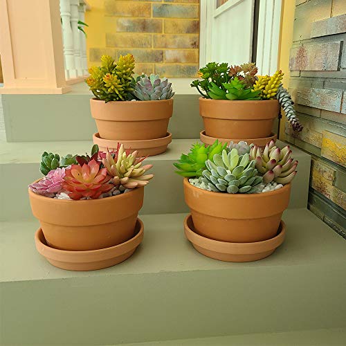 Yishang 6 Inch Terracotta Shallow Planters With Saucer/Tray,Ceramic Flower Clay Plant Pots With Drainage Hole,Unglazed Cactus/Succlent Plant Containers Indoor Garden Bonsai Pots #TOP6