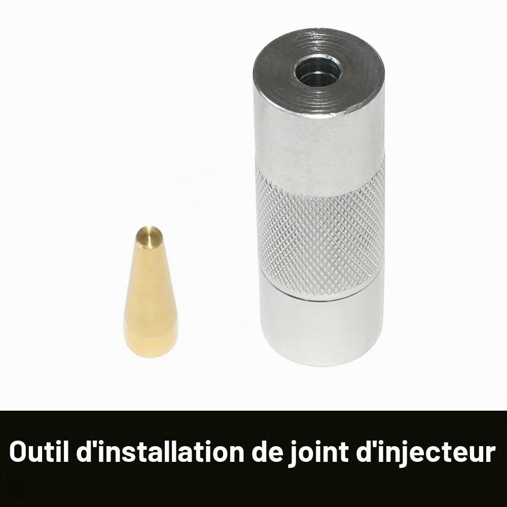 DPTOOL Extracteur d'injecteur, Carburant et outil d'installation de joint d'injecteur compatible avec les moteurs à essence Land Rover Jaguar 3.0L 5.0L Remplacent 310-197 310-198 310-199