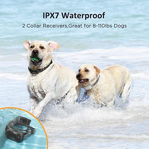 Patpet Shock Collar For Large Dog(8-110 Lbs) 2 Dogs, Rechargeable Ipx7 Waterproof - Dog Training Collar With Remote For Small Medium 2 Packs #TOP3