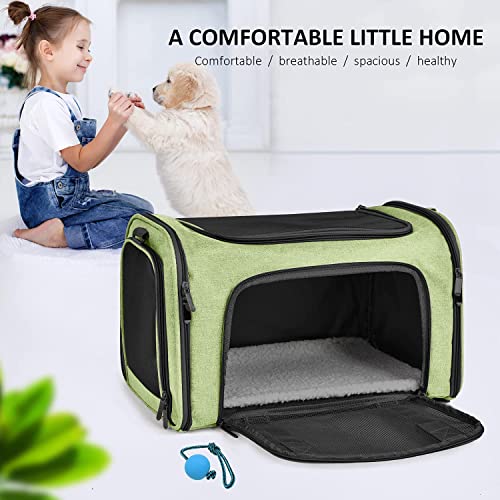 Image of Henkelion Pet Carrier for Small Medium Cats Dogs Puppies up to 15 Lbs, Airline Approved Small Dog Carrier Soft Sided, Collapsible Travel Puppy Carrier - Green