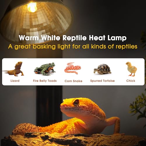 Image of Briignite Reptile Heat Lamp 50W G9 Halogen Heat Bulb & Dome Reptile Light Fixture, Aluminum Reflector, UVA Basking Light for Reptiles, Dimmable Heat Lamp for Chicken Turtle Snake Gecko Lizard