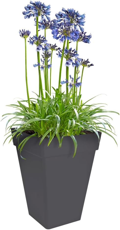 Elho Loft Urban Square High 37 - Flower Pot for Outdoor - Ø 37.0 x H 51.3 cm - Black/Anthracite