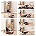 HOTSWEAT Ab Machine, Sit Up Exercise Equipment, Ab Workout Equipment with 3 Adjustable Resistance, Ab Trainer for Stomach Workout with 330 LBS Weight Capacity, Foldable Ab Crunch Machine for Home Gym