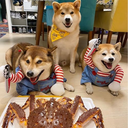 Lustige Chucky Hundekleidung, Hundekostüm Hhallowee Halloween Hundekostüm Wig and Knife Haustier Kleidung Hund Schreckliches Kostüm für Halloween Haustier Cosplay Party