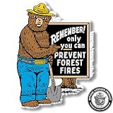 Smokey Bear 'Remember' Sign Magnet by Classic Magnets, 2.7 x 3.6, Collectible Souvenirs Made in The USA
