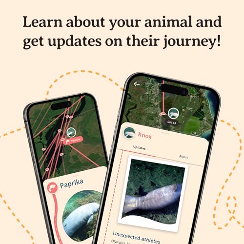 Fahlo Drift Bracelet Manatee Tracking Bracelet, Elastic, Supports Clearwater Marine Aquarium, one Size fits Most for Men and Women4