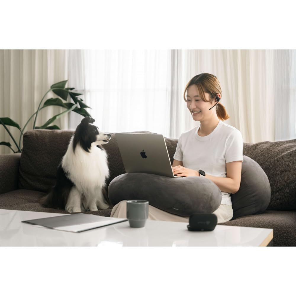 Amazon.co.jp: ファイナル(final) オープン型イヤホンfinal KDT3000