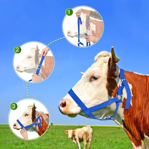 M METERXITY 1-Pack Cattle Cow Calf Halter 18.9-23.23in Nylon Blue - 4