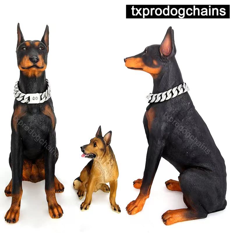 小物 DOUBLE MINI PITBULL CHAIN ( Order) 81spVph8XzL._UF350,350_QL50_.jpg