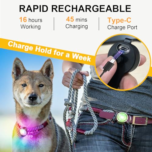 2 Stück Hundelicht for für Nächtliche Spaziergänge, Tubasion Verbesserte 8 Modi Leuchtanhänger Hund Aufladbar, IP66 Wasserdicht und Silikonband Sicherheitslicht for LED Hundehalsband