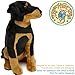 TigerHart Ronin The Rottweiler - 14 Inch Stuffed Animal Plush